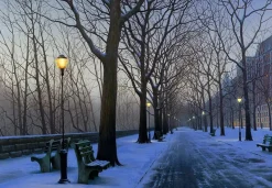 A COLD WINTER'S NIGHT