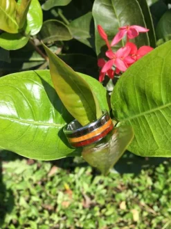 Big Kahuna Ring with Three Woods