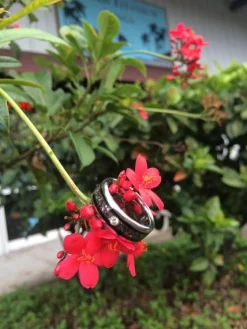 Black Pearl and Koa Diamond Titanium Ring