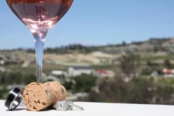 Black Wood Titanium Ring Band