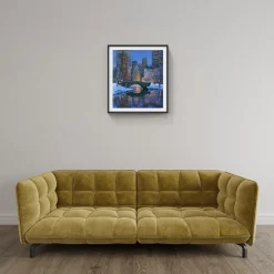 CENTRAL PARK SNOWFALL