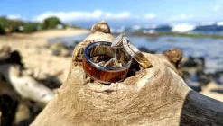 Dark Koa Wood Inlay Titanium Ring Band