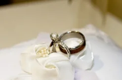 Dark Tiger Koa Wood Hawaii Titanium Ring