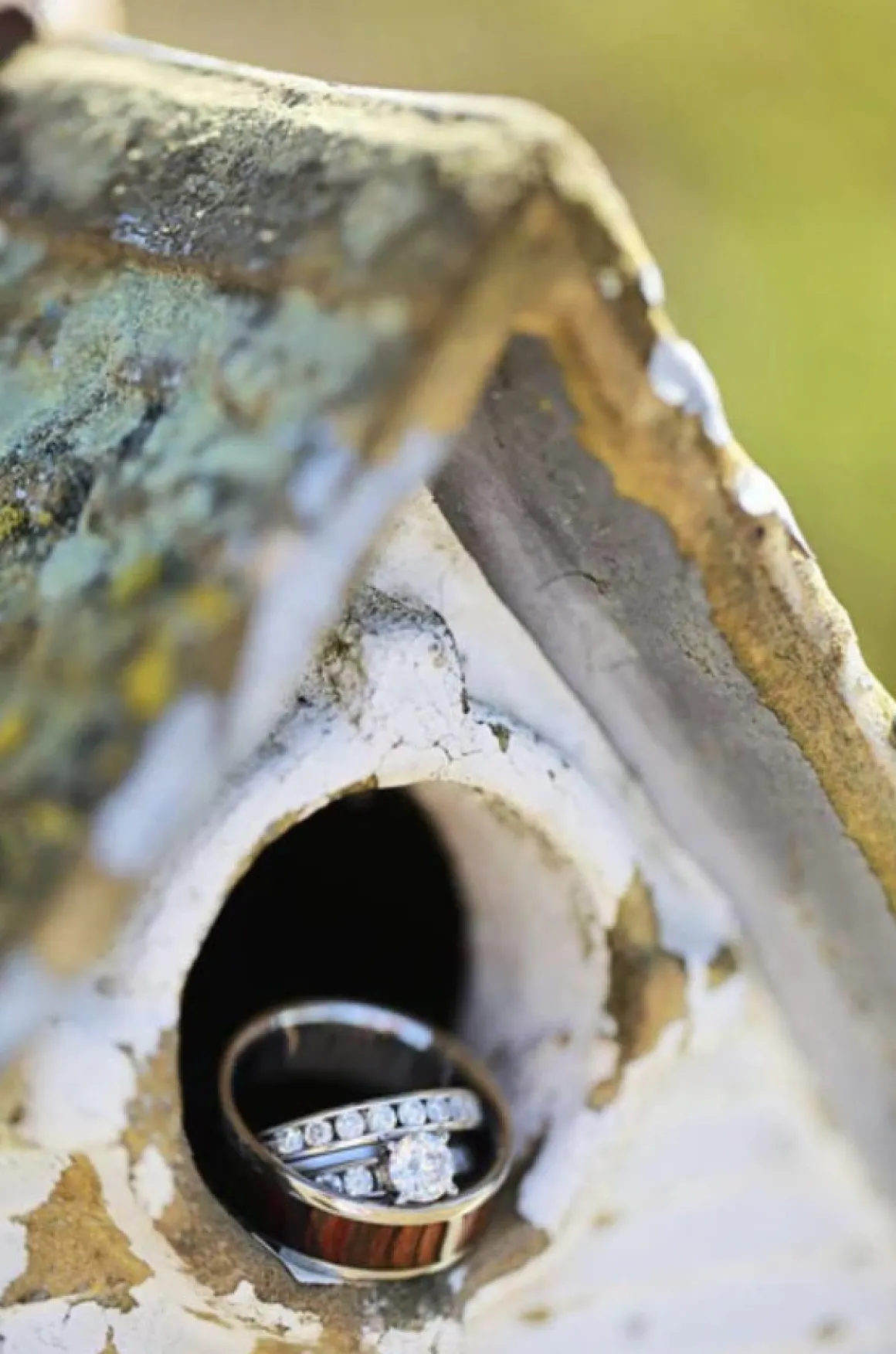 King Wood Titanium Ring