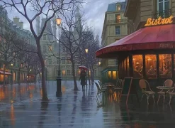 RAINY DAY PARIS