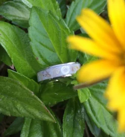 Sea Shell Titanium Ring