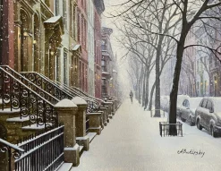 SNOWSTORM IN BROOKLIN