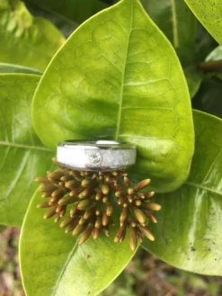 White Pearl Hawaii Titanium Ring
