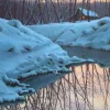 WINTER REFLECTIONS